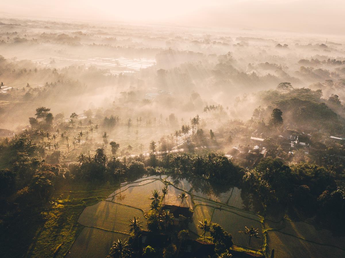 Tanah Gajah, A Resort By Hadiprana Ubud Exteriör bild