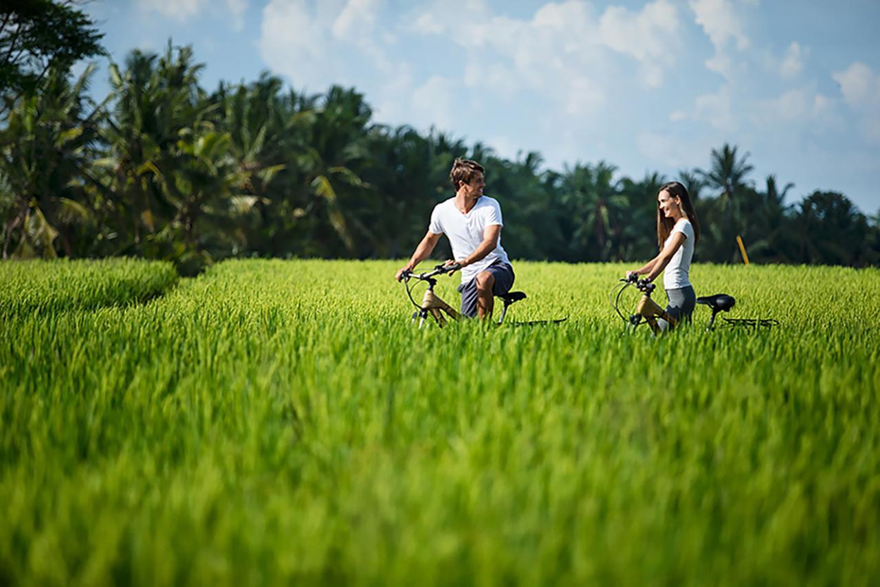 Tanah Gajah, A Resort By Hadiprana Ubud Exteriör bild